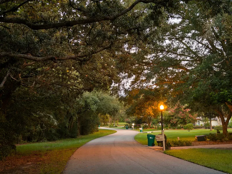 Landscape near Lecanto, Florida